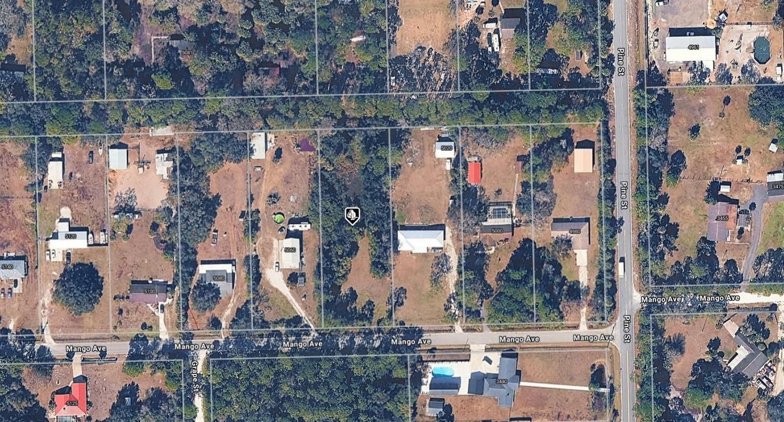 MANGO AVENUE