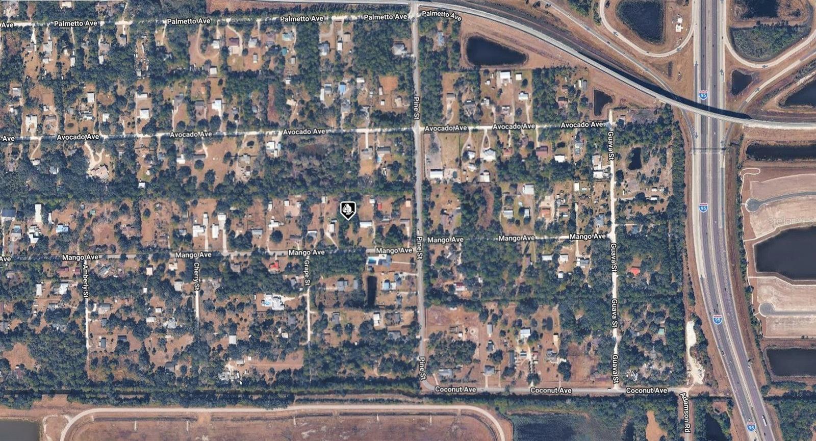 MANGO AVENUE