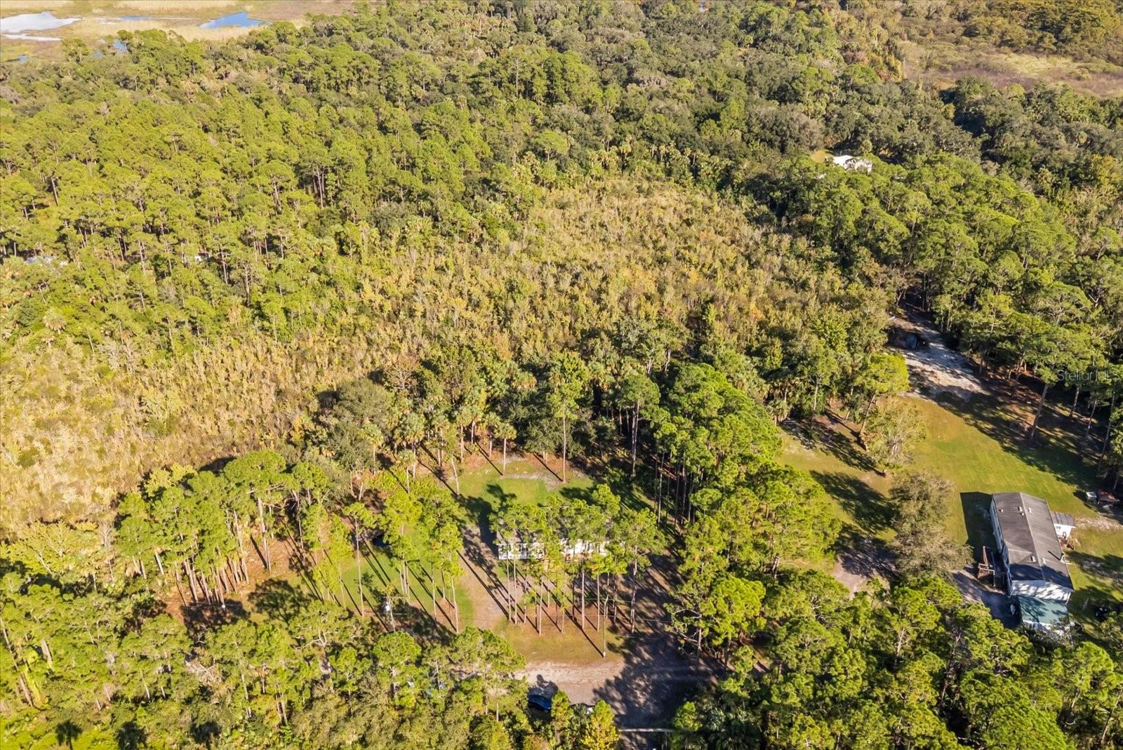 MULLET LAKE RETREAT 5 ACRE DEV - Residential