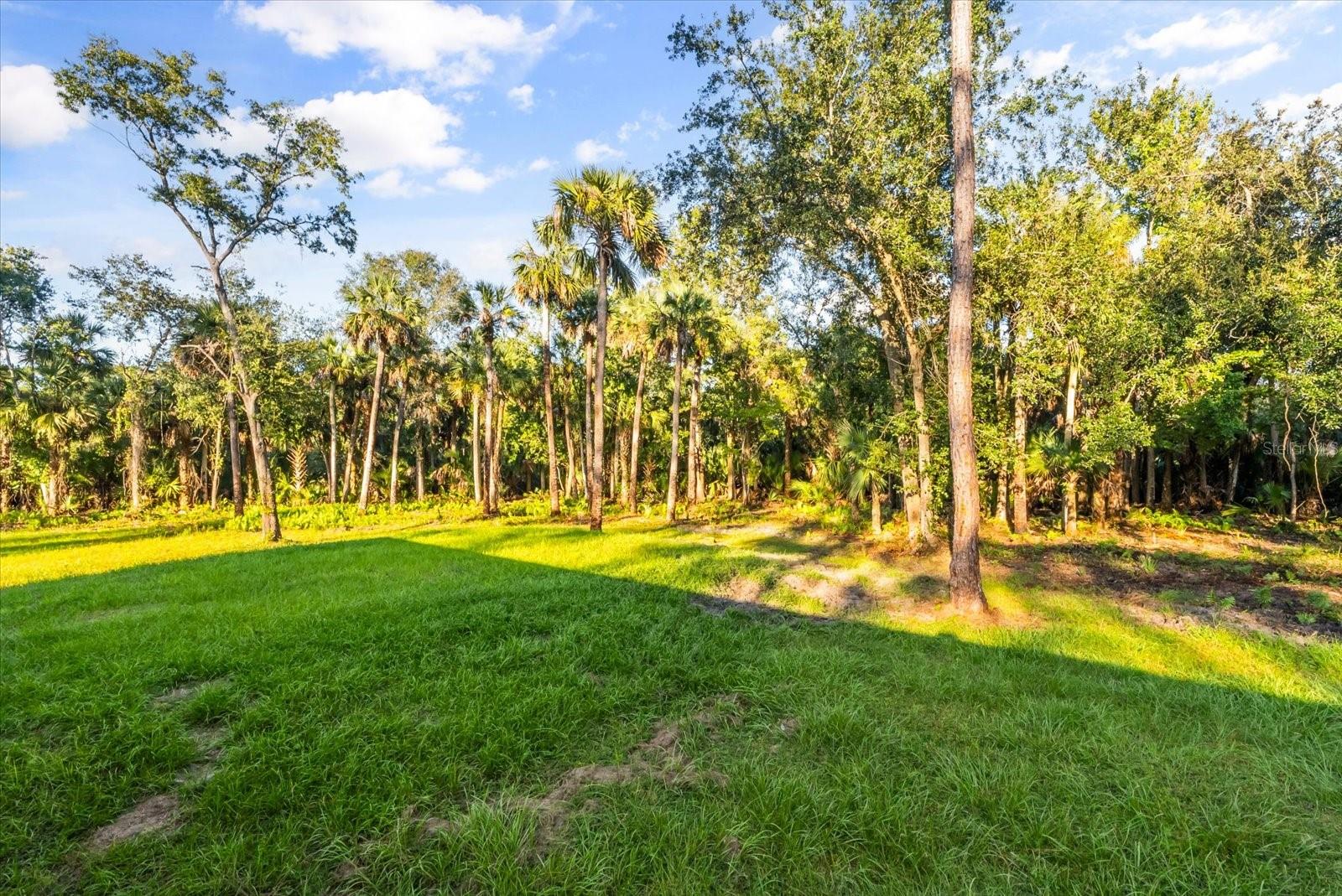 MULLET LAKE RETREAT 5 ACRE DEV - Residential