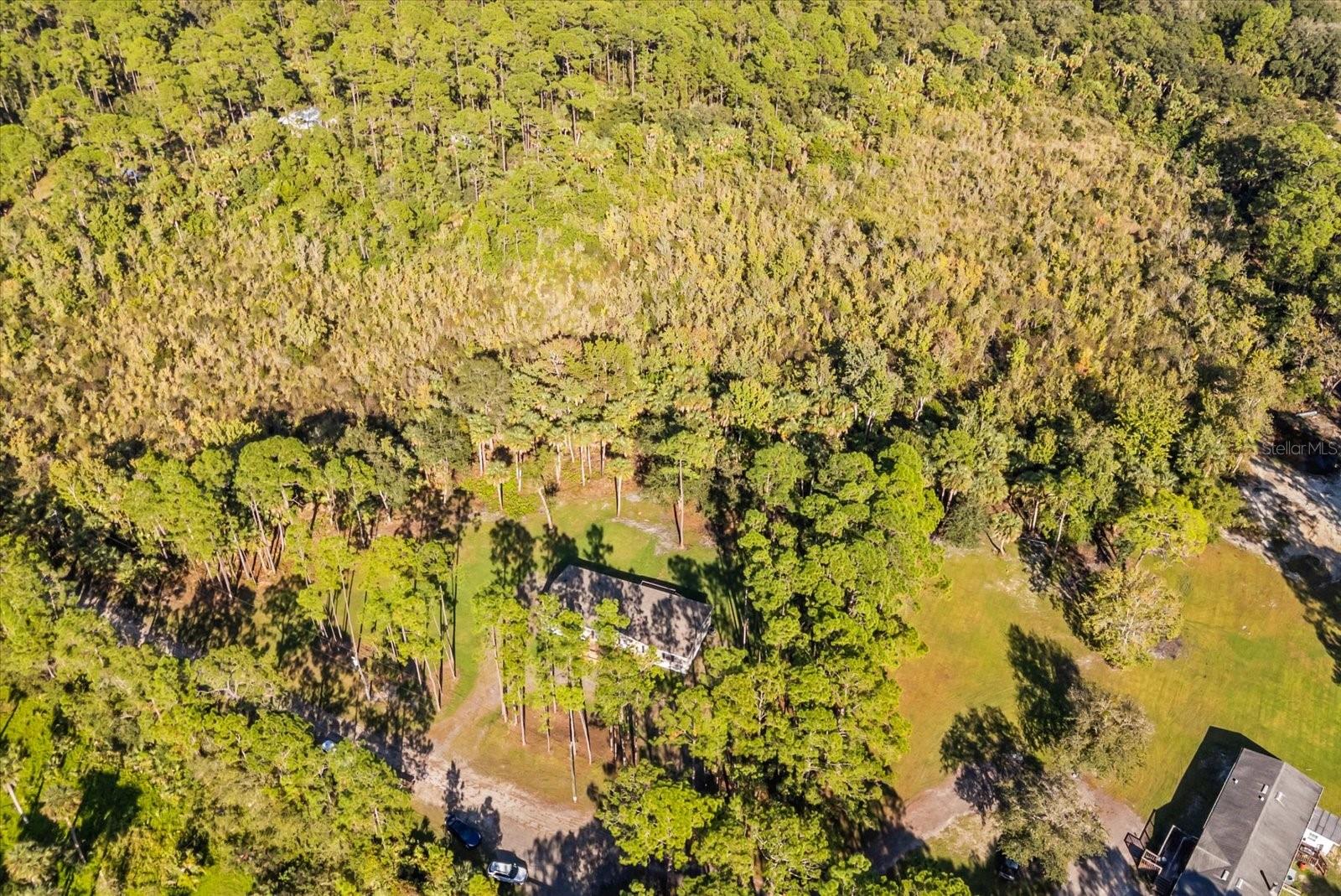 MULLET LAKE RETREAT 5 ACRE DEV - Residential