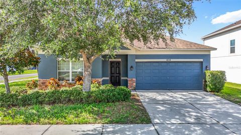 18339 FISH LOOP LAND O LAKES FL 34638