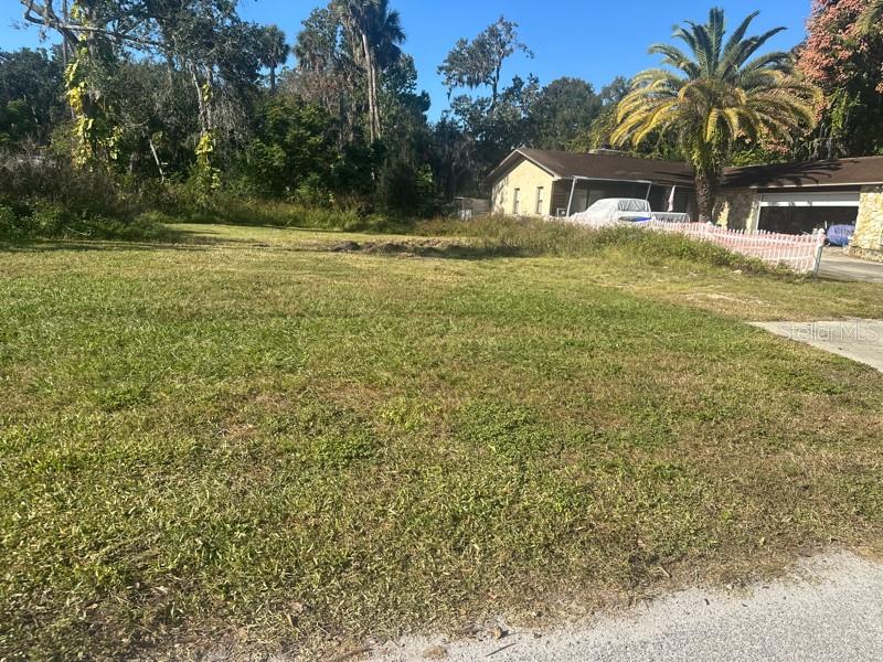 SHOTWELLS JUNGLE GARDEN - Land