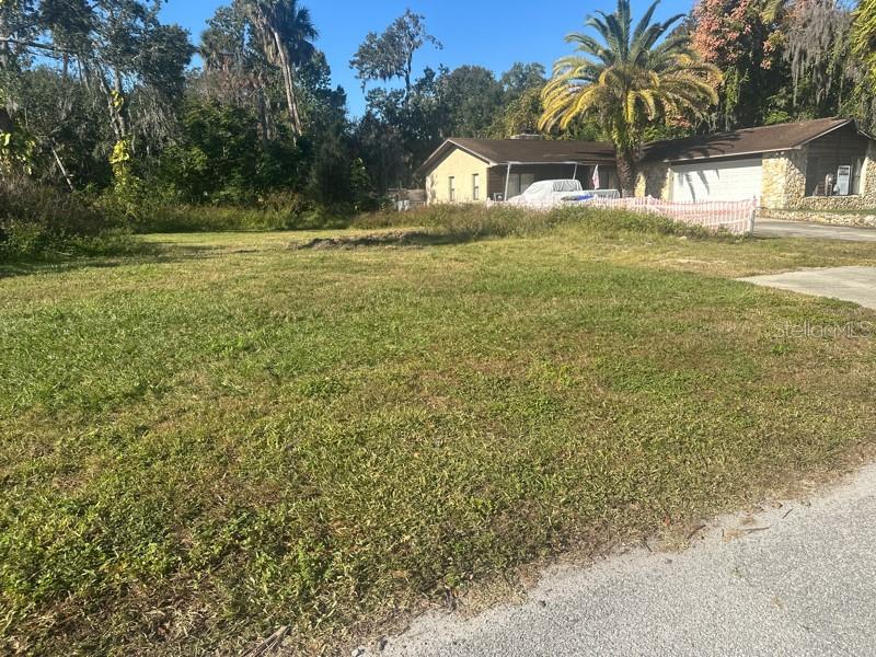 SHOTWELLS JUNGLE GARDEN - Land