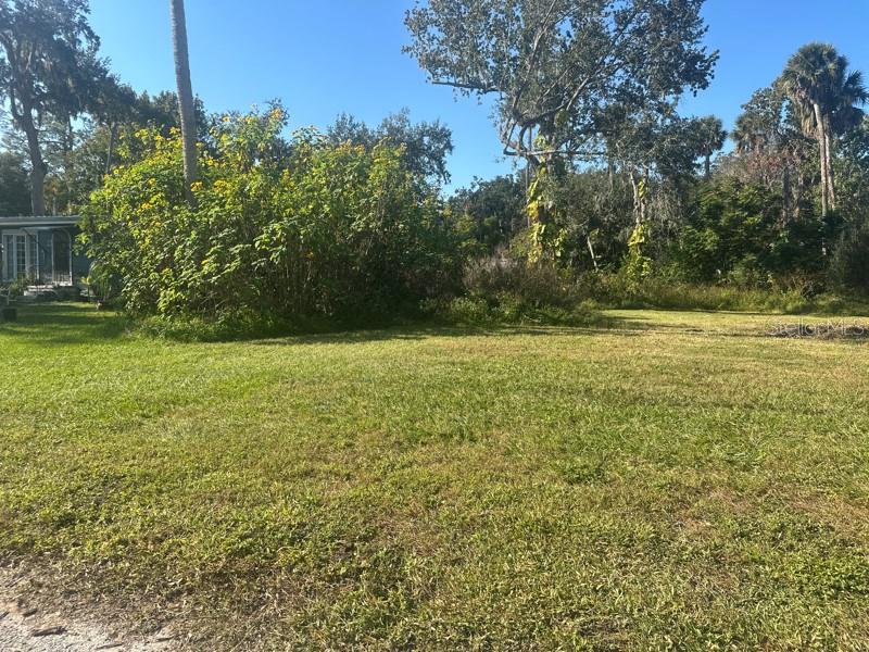 SHOTWELLS JUNGLE GARDEN - Land