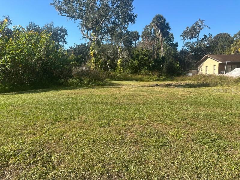 SHOTWELLS JUNGLE GARDEN - Land