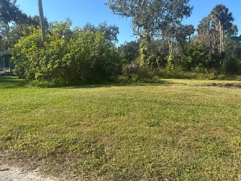 SHOTWELLS JUNGLE GARDEN - Land