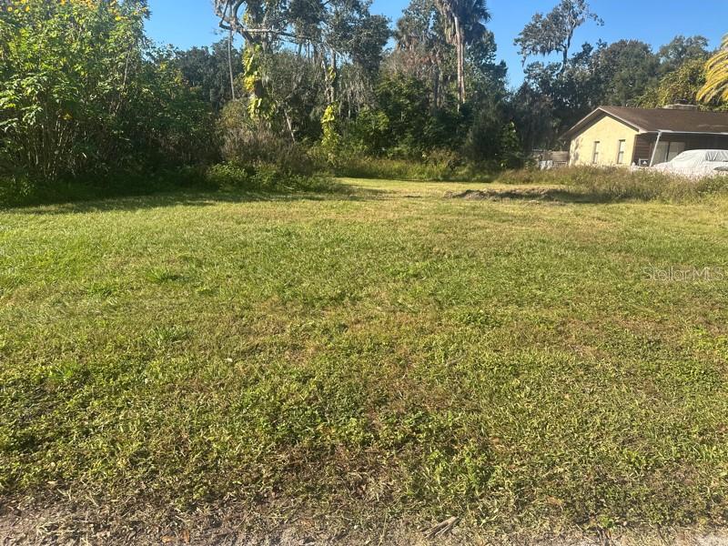 SHOTWELLS JUNGLE GARDEN - Land