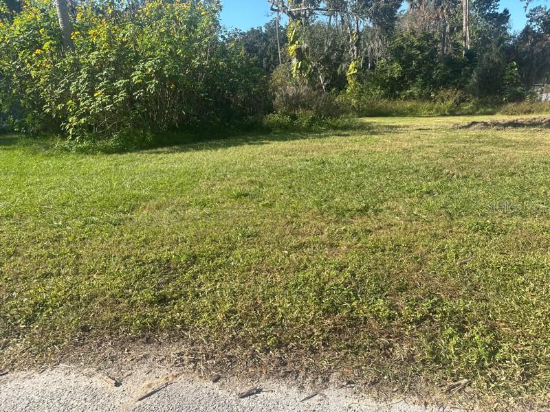 SHOTWELLS JUNGLE GARDEN - Land