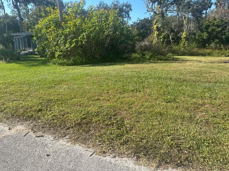 SHOTWELLS JUNGLE GARDEN - Land