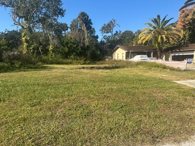 SHOTWELLS JUNGLE GARDEN - Land