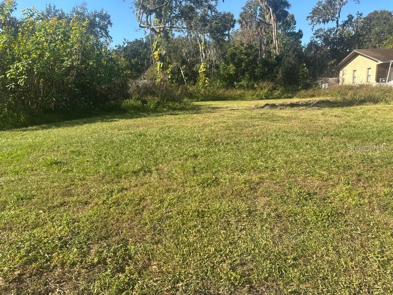 SHOTWELLS JUNGLE GARDEN - Land