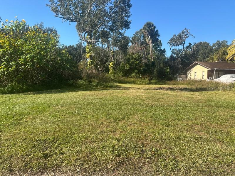 SHOTWELLS JUNGLE GARDEN - Land