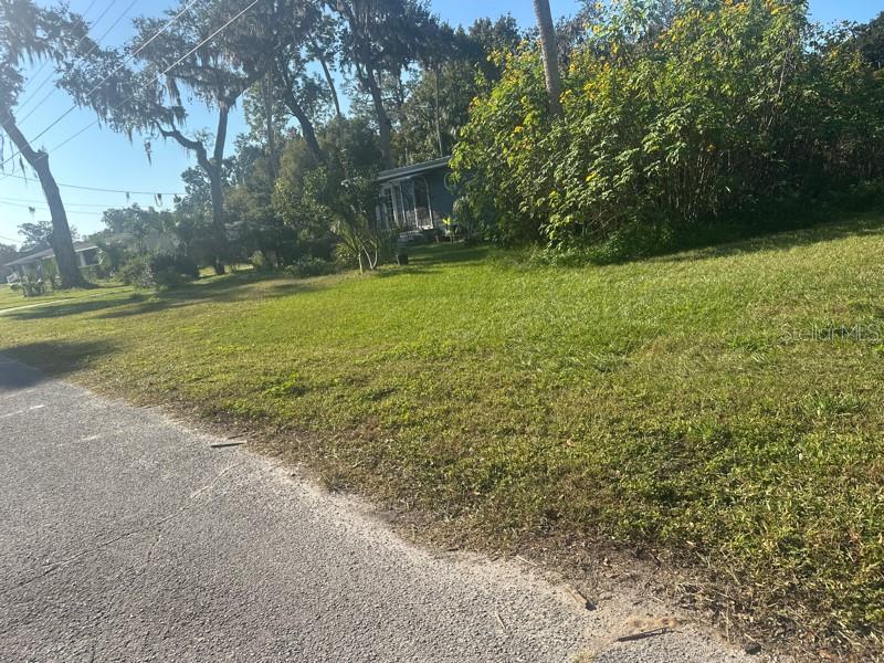 SHOTWELLS JUNGLE GARDEN - Land