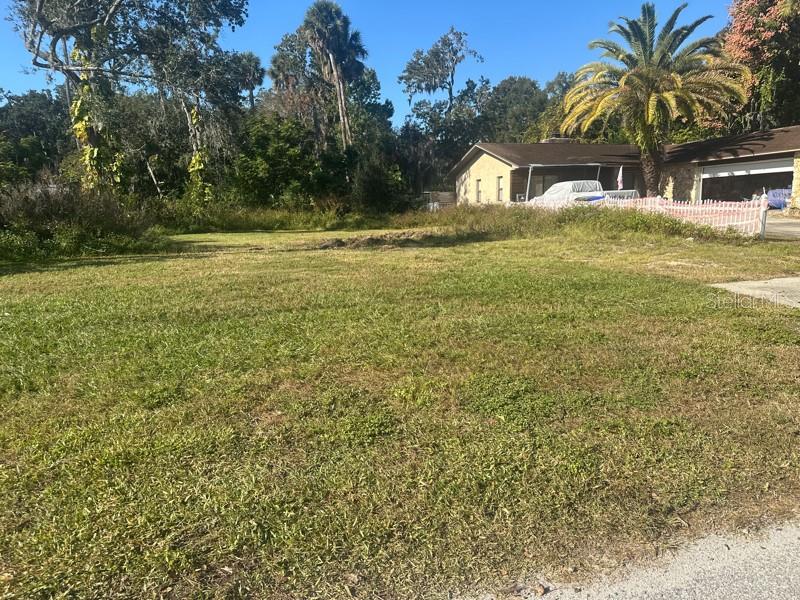 SHOTWELLS JUNGLE GARDEN - Land