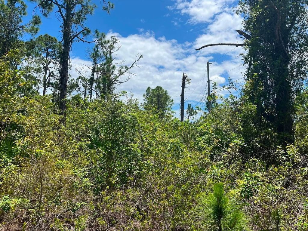 Photo of 8448 Matecumbe Road, Port Charlotte, FL 33981 (MLS # O6416338)