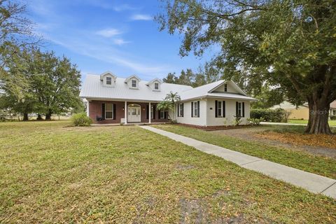 Photo of 1029 Briarwood Drive, Wauchula, FL 33873 (MLS # A4678199)