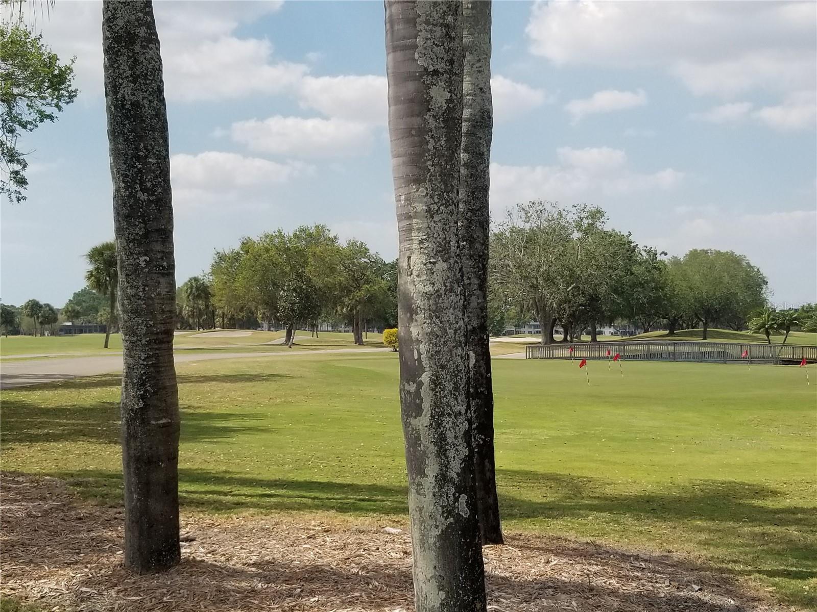 PALM-AIRE AT SARASOTA 8-C CO - Residential Lease