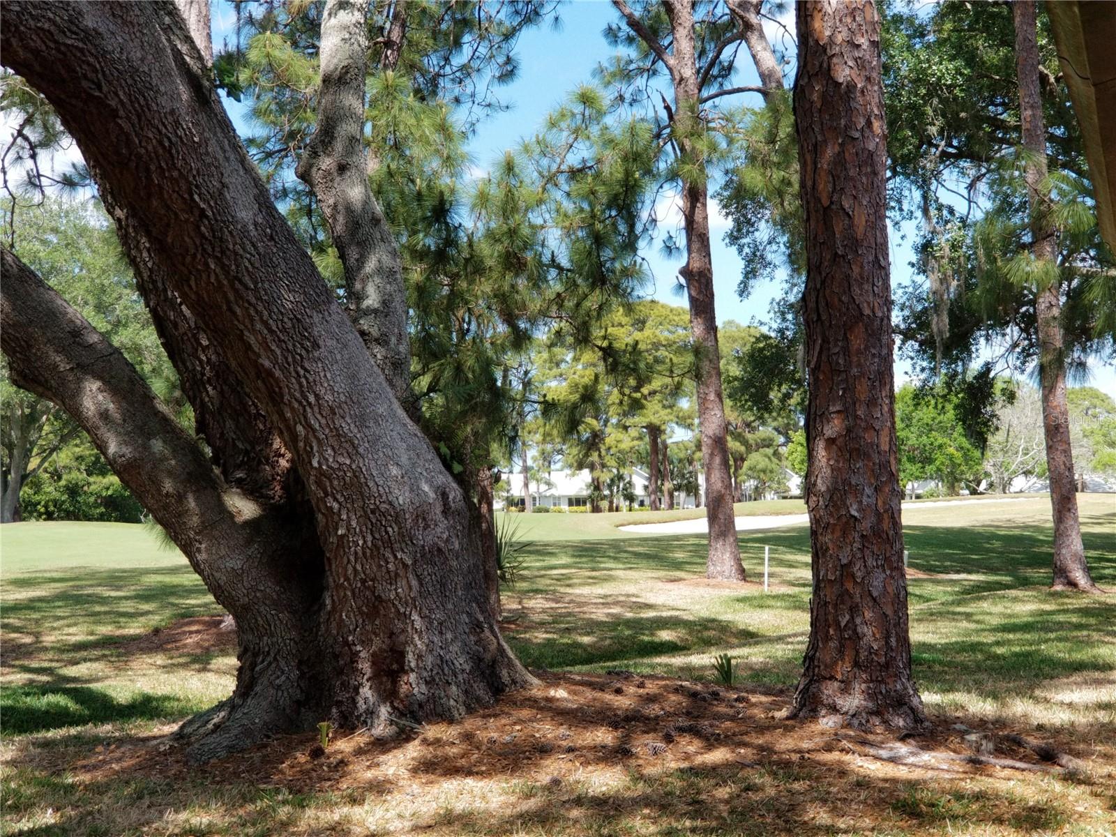 PALM-AIRE AT SARASOTA 8-C CO - Residential Lease