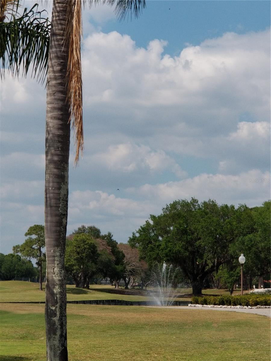 PALM-AIRE AT SARASOTA 8-C CO - Residential Lease