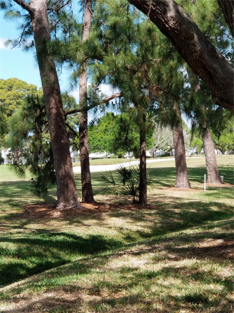 PALM-AIRE AT SARASOTA 8-C CO - Residential Lease