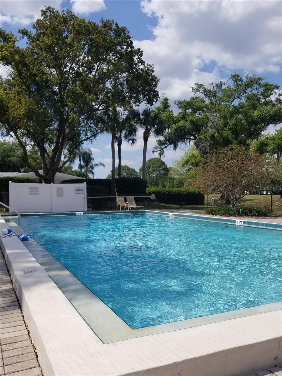 PALM-AIRE AT SARASOTA 8-C CO - Residential Lease