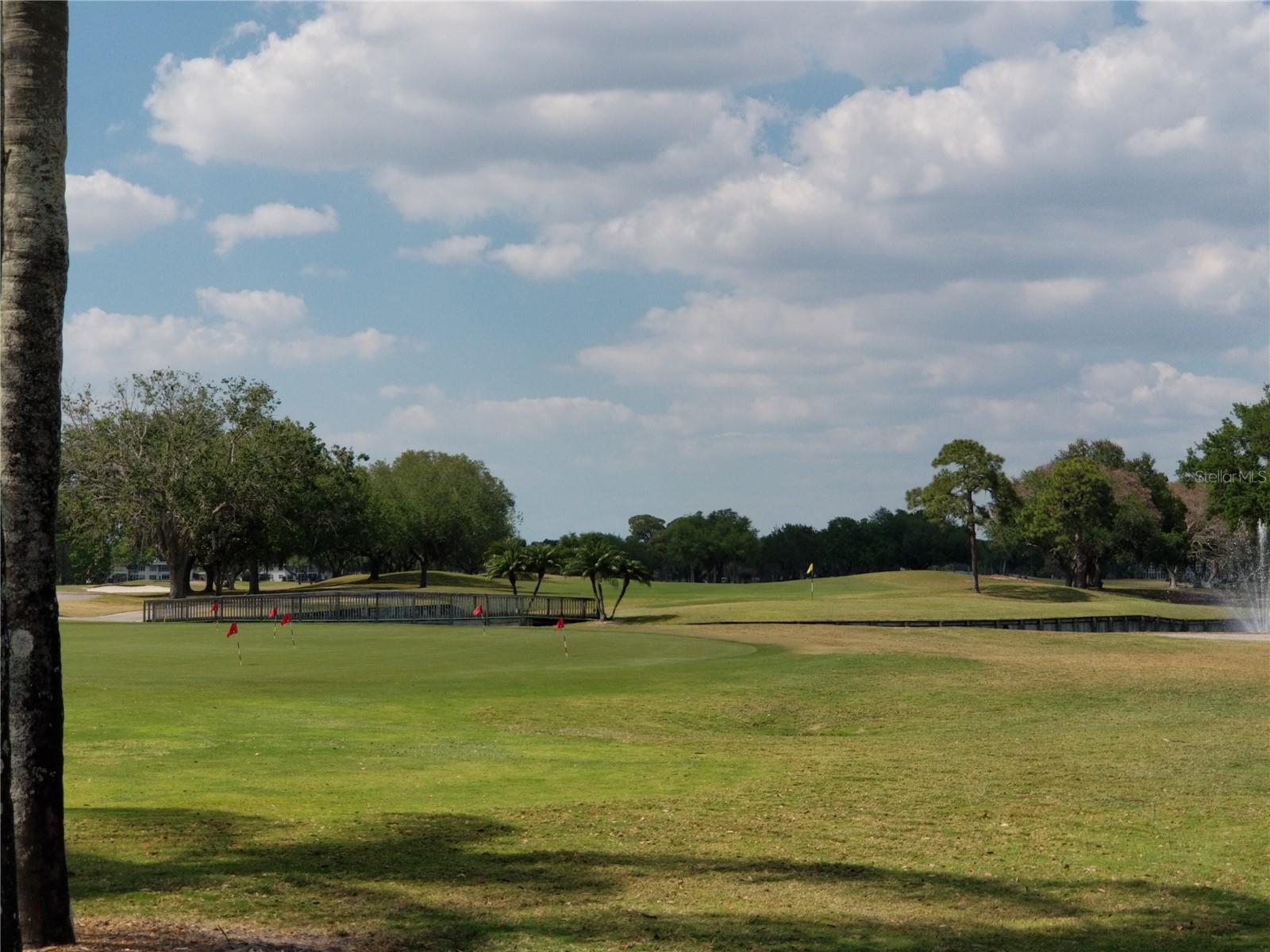 PALM-AIRE AT SARASOTA 8-C CO - Residential Lease