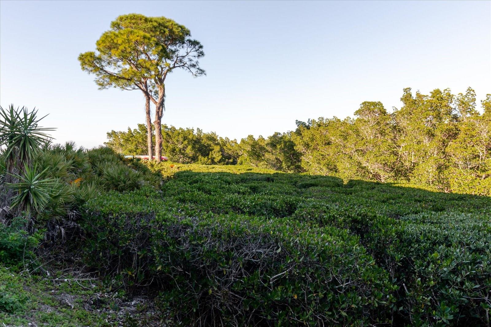 MARINER VILLAGE NORTHWEST CONDO - Residential