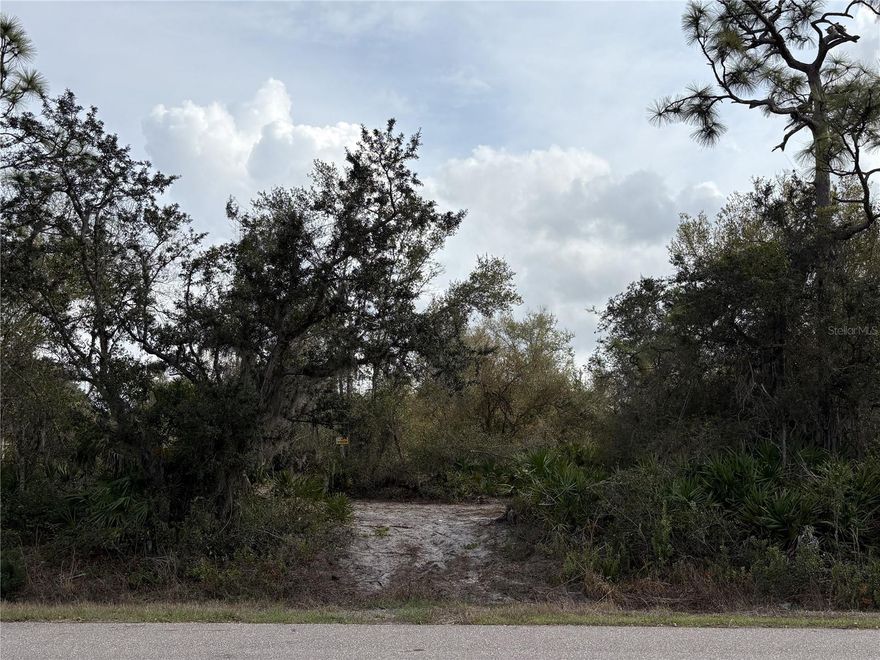 A chance to own land near the Peace River without HOA restrictions or high costs.  This residential lot in Peace River Shores offers approximately 78 feet of frontage and a partially cleared setting, making it easier to picture your future build.

Just minutes to the river and local boat ramps, this location gives you that tucked-away Florida feel while still keeping you close to Punta Gorda, I-75, and everyday conveniences.

A great option for those looking to build, hold, or invest in a growing area.