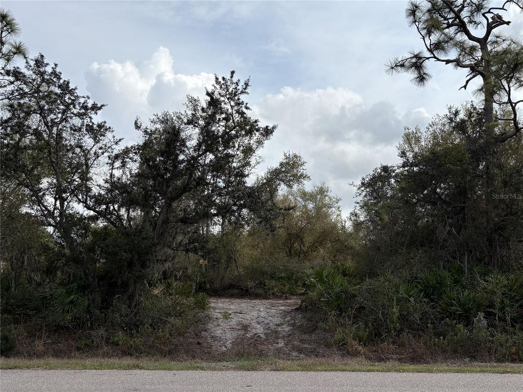 Photo of 29181 Defiance Avenue, Punta Gorda, FL 33982 (MLS # N6143601)