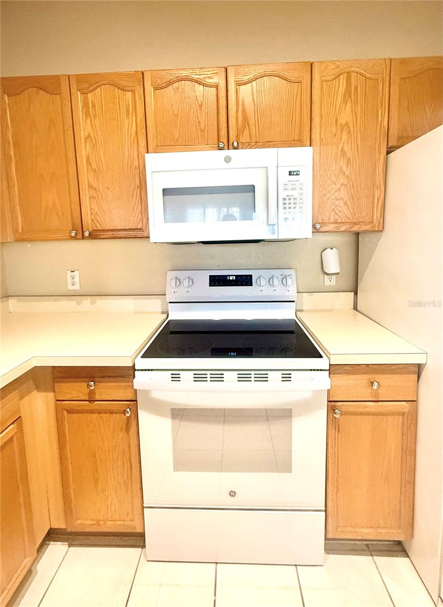 OXFORD PLACE AT TAMPA PALMS A CONDO - Residential