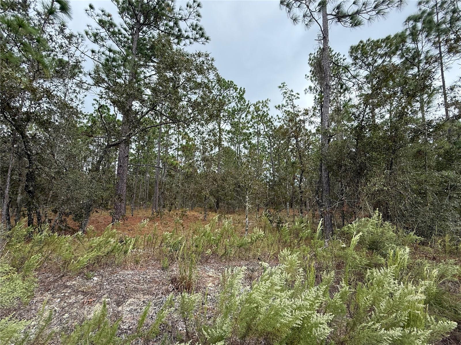 RAINBOW LAKES ESTATE - Land