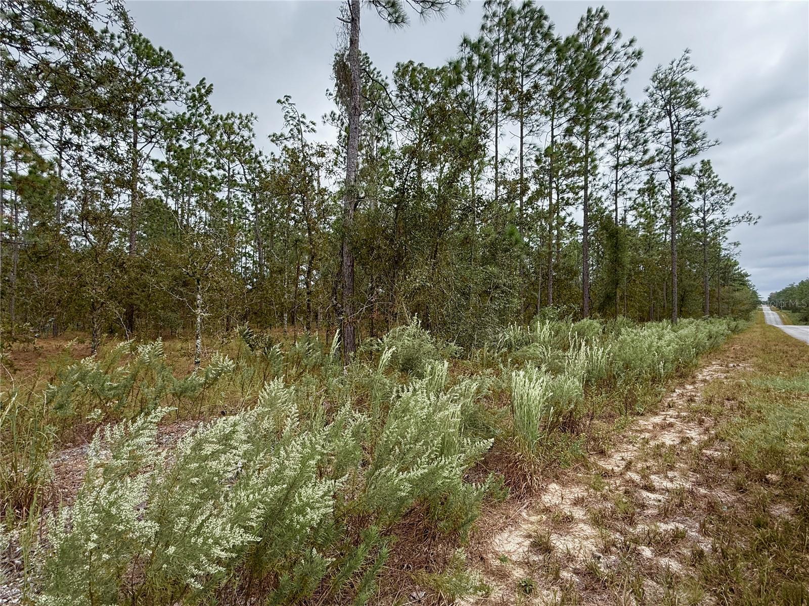 RAINBOW LAKES ESTATE - Land
