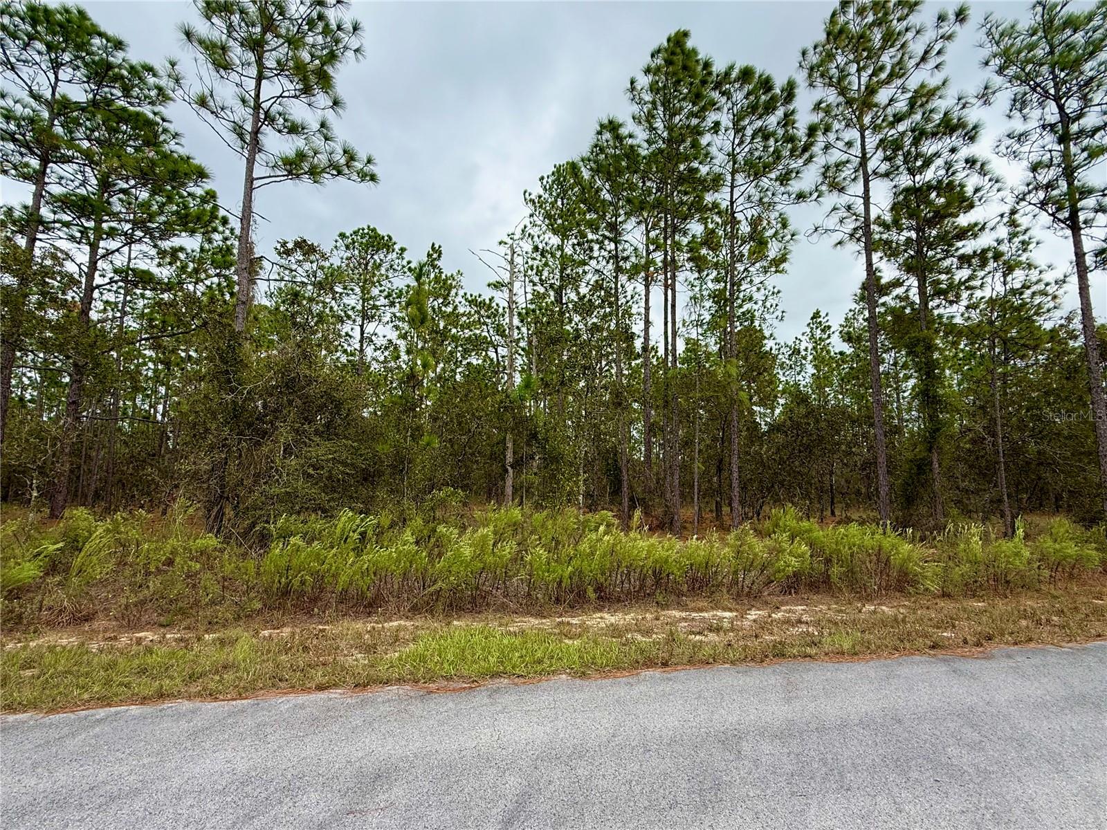RAINBOW LAKES ESTATE - Land