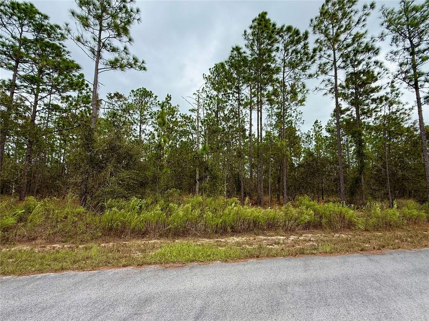 Buildable Lot in Desirable Rainbow Lake Estates! Don’t miss this opportunity to own a buildable lot on a paved road in the sought-after Rainbow Lake Estates community. Surrounded by many new and well-maintained homes, this lot is ideal for building your dream home in a peaceful, natural setting.Located just:15 minutes from Rainbow Springs State Park for swimming, kayaking, and hiking 20 minutes to downtown Dunnellon for shopping, dining, groceries, and medical services 30 minutes to the Gulf, perfect for fishing and boating trips, This high and dry property is nestled in a quiet, no-HOA neighborhood, offering you freedom and flexibility. Enjoy the Florida lifestyle with endless outdoor recreation nearby. Build now or hold for investment—this is a great opportunity in a growing area!