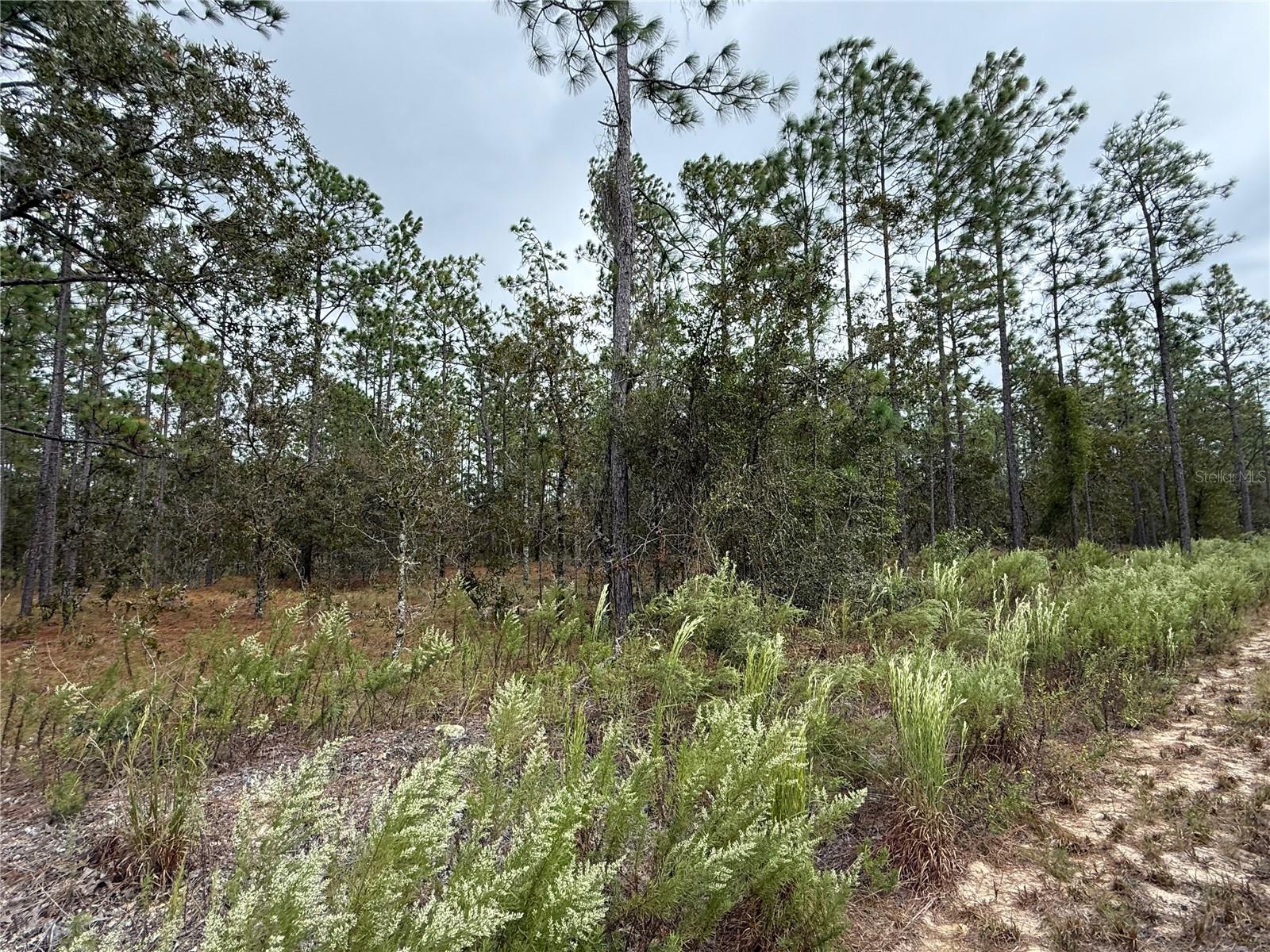 RAINBOW LAKES ESTATE - Land
