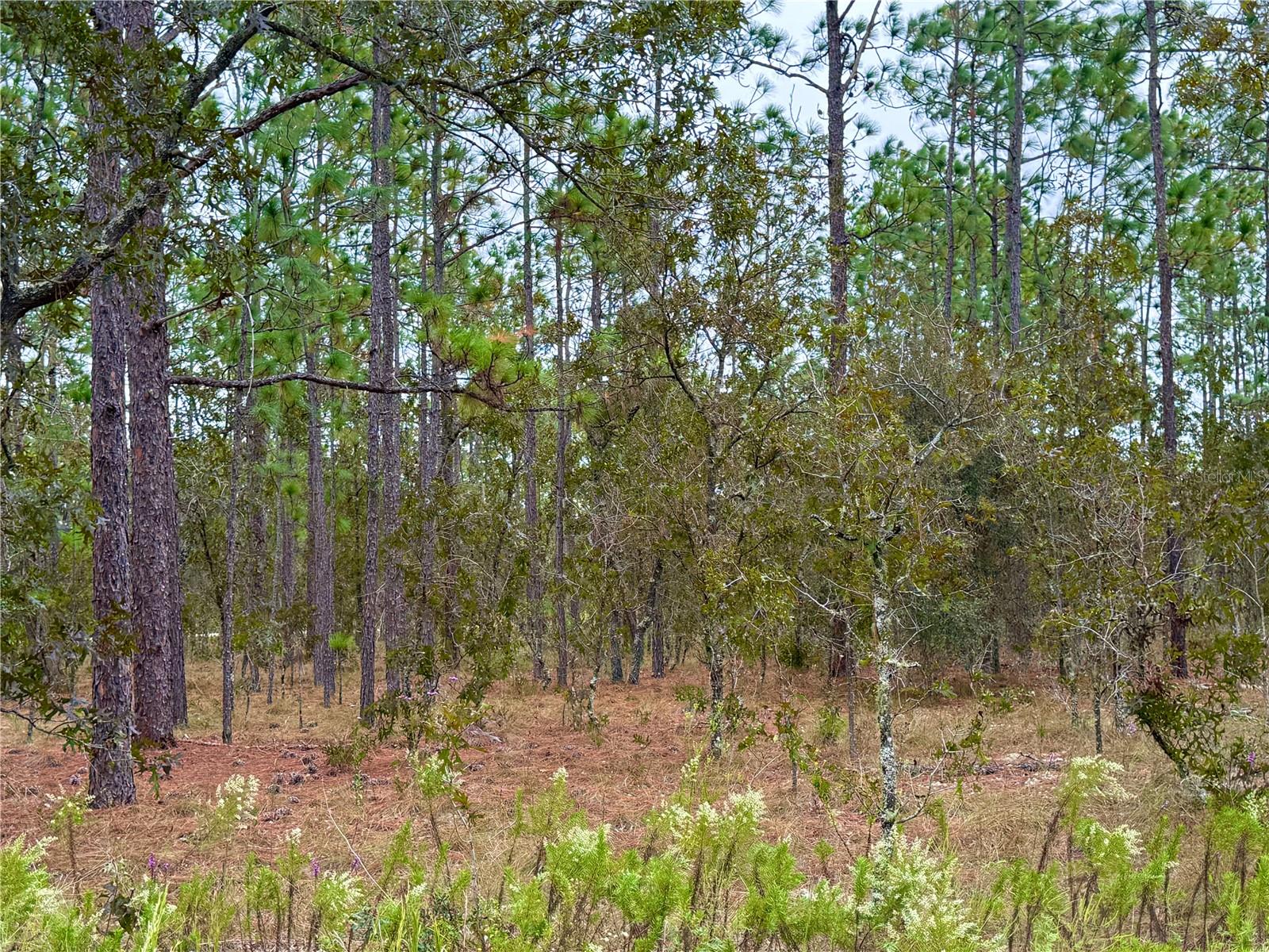 RAINBOW LAKES ESTATE - Land