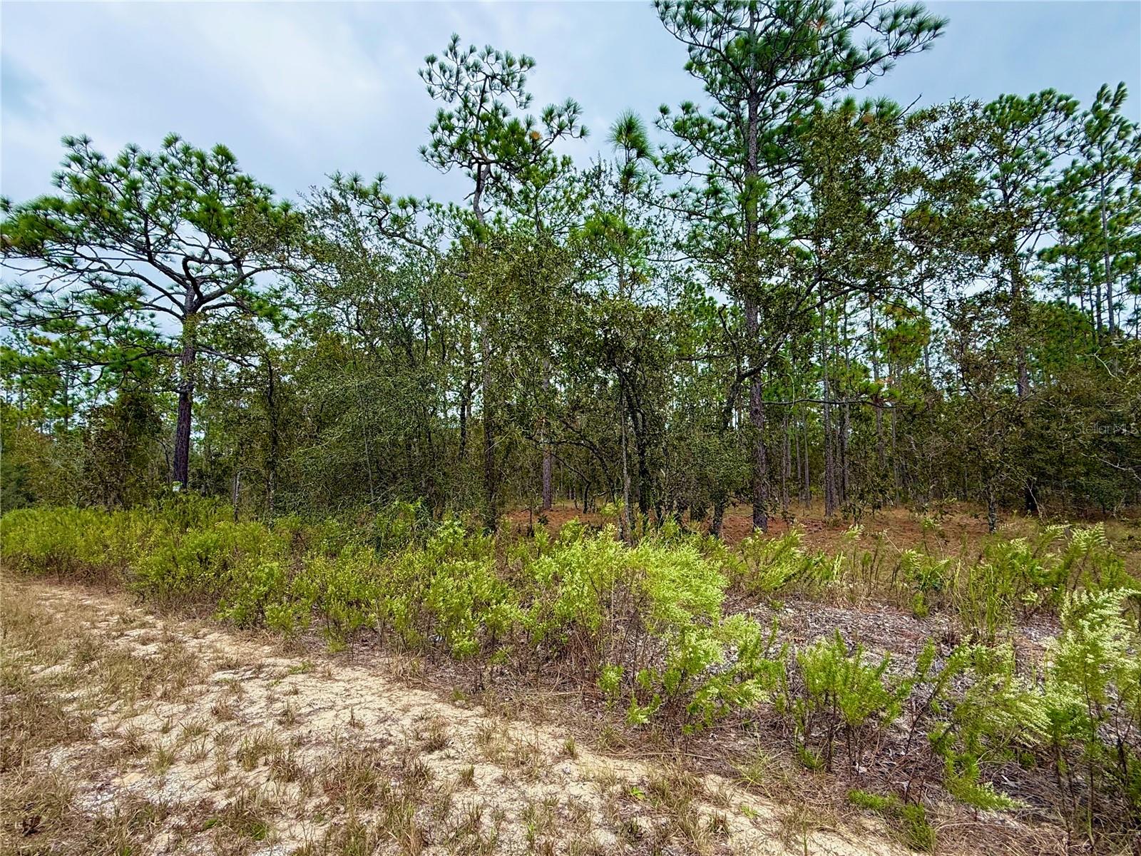 RAINBOW LAKES ESTATE - Land