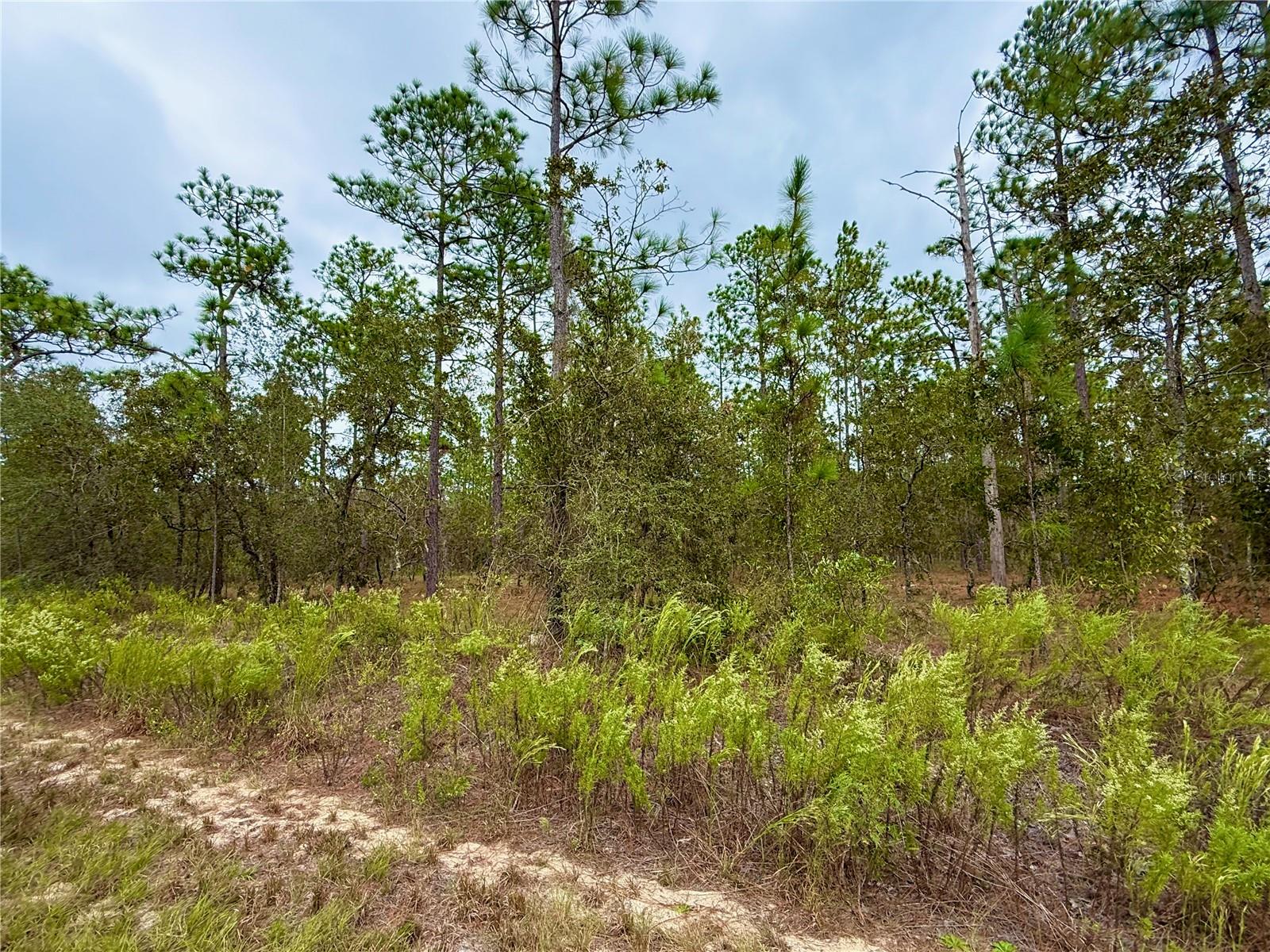RAINBOW LAKES ESTATE - Land