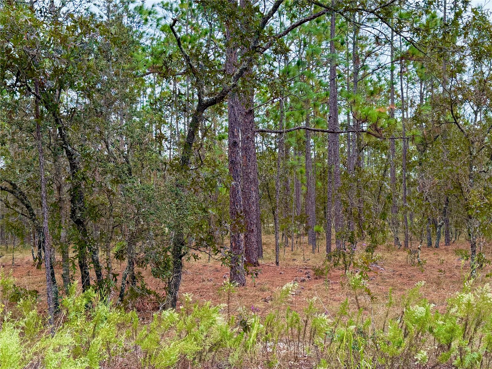 RAINBOW LAKES ESTATE - Land