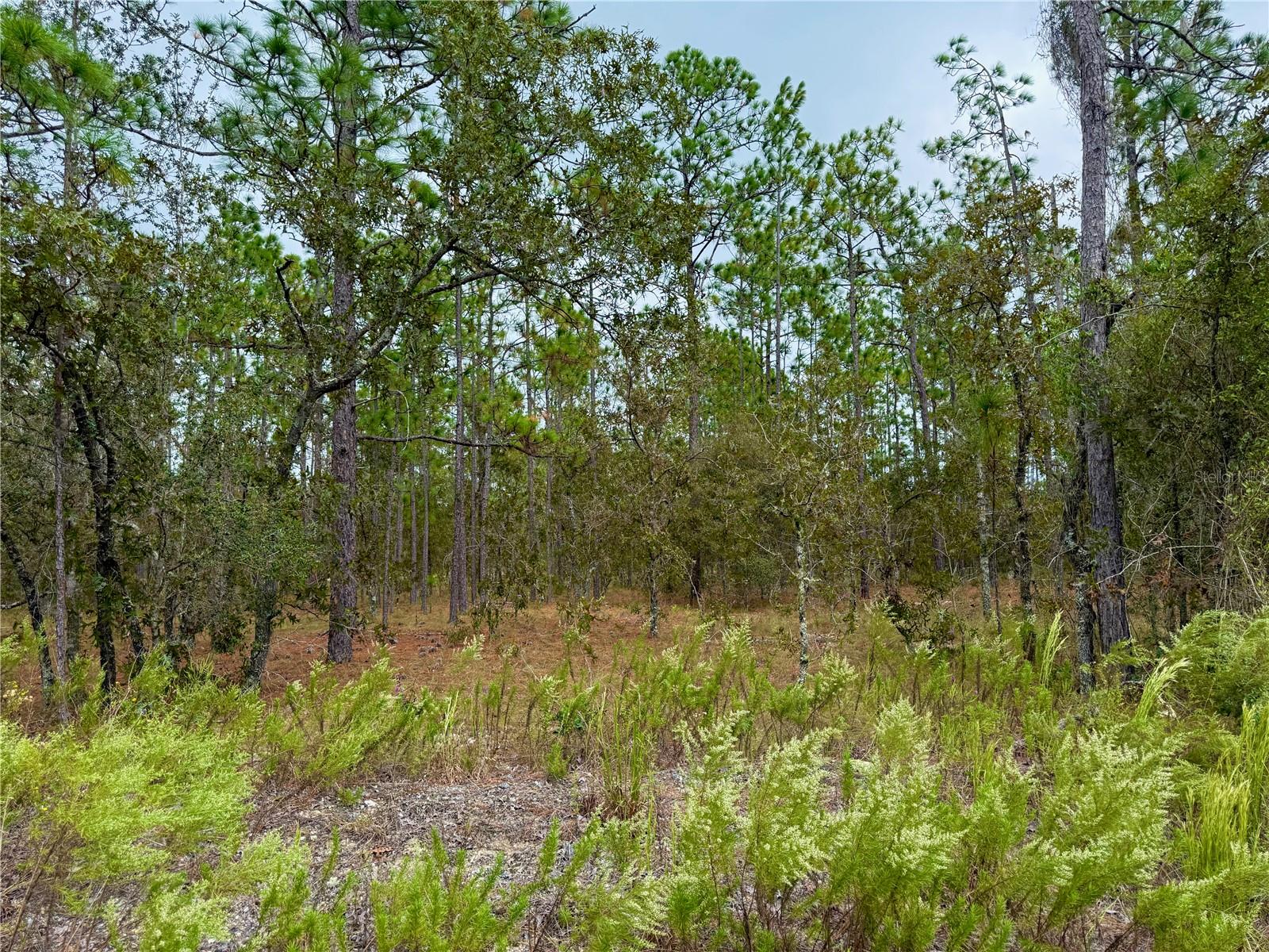 RAINBOW LAKES ESTATE - Land