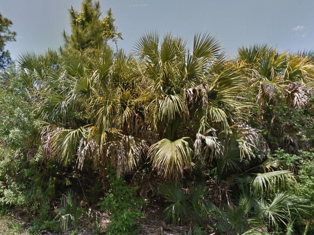 Photo of 0 Raven Street, North Port, FL 34286 (MLS # C7522286)