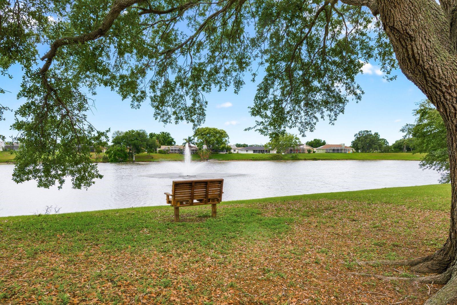 HIDDEN LAKE - Residential