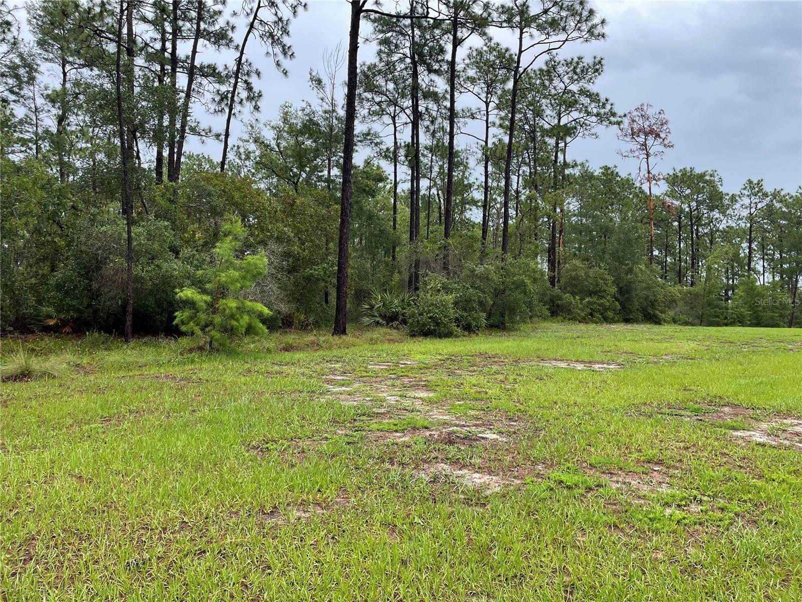 JARVIS ADD OSTEEN - Land