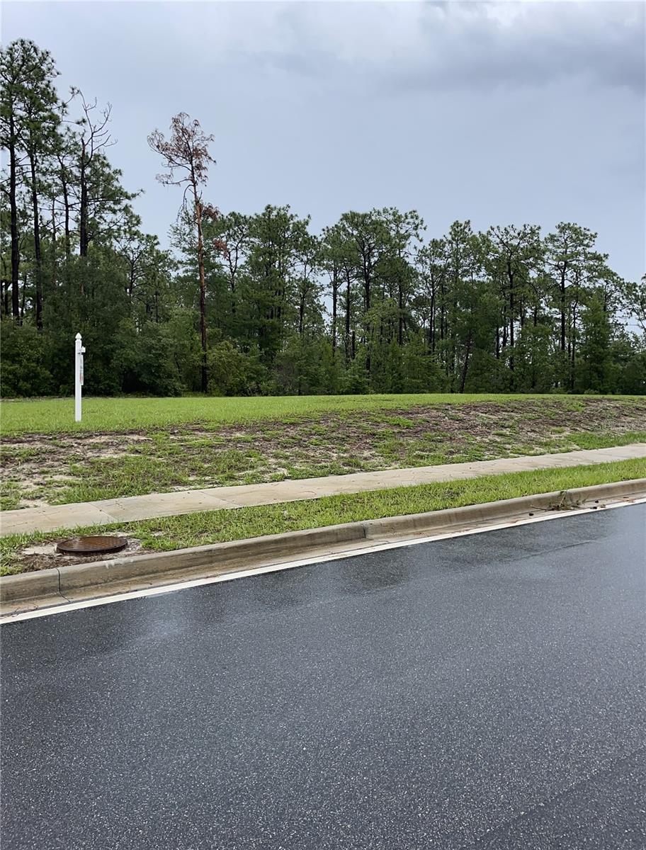 JARVIS ADD OSTEEN - Land