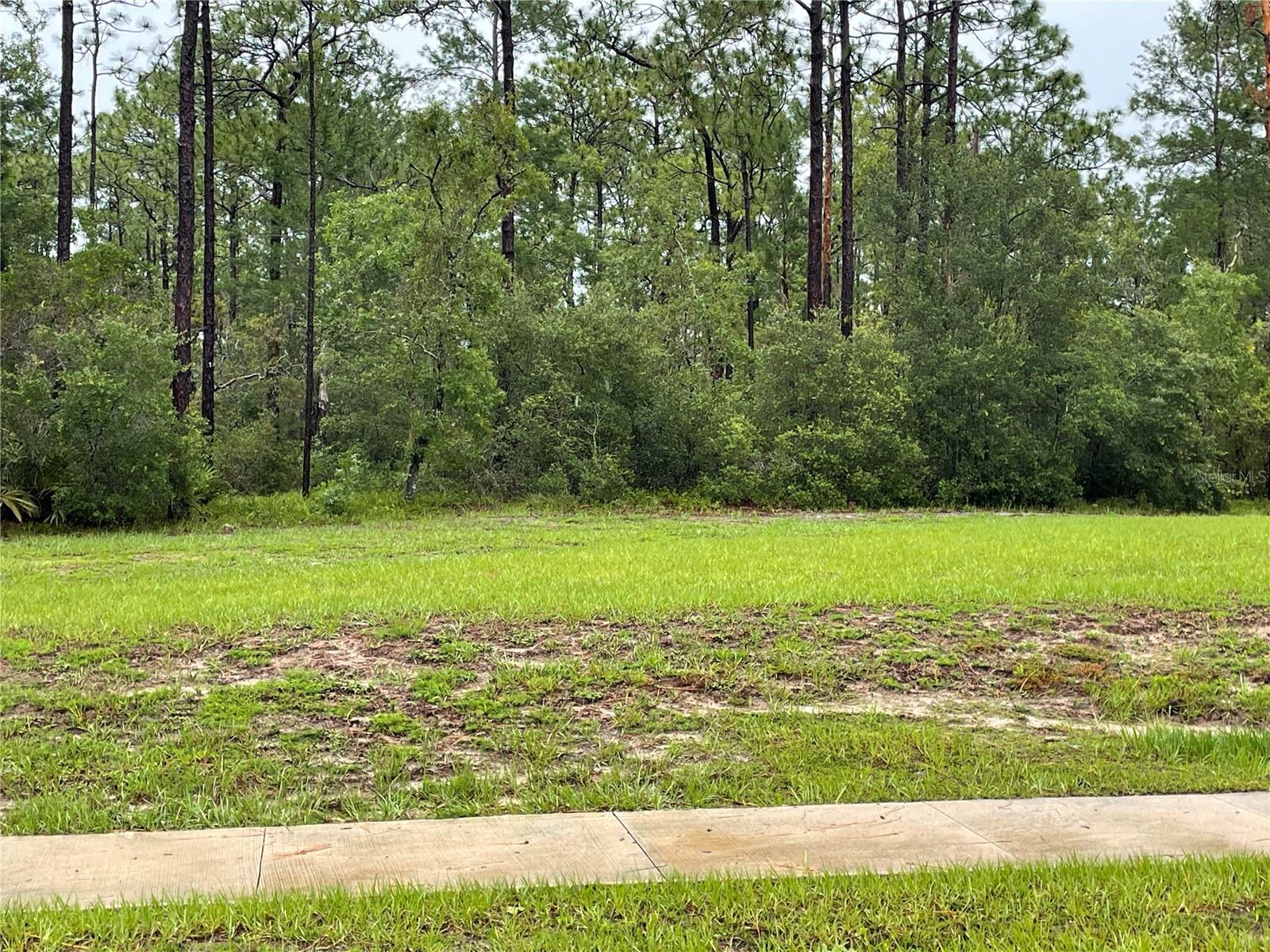 JARVIS ADD OSTEEN - Land