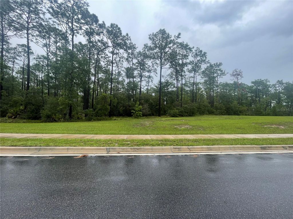 Photo of Virginia (paper) Avenue, Deltona, FL 32738 (MLS # O6367495)