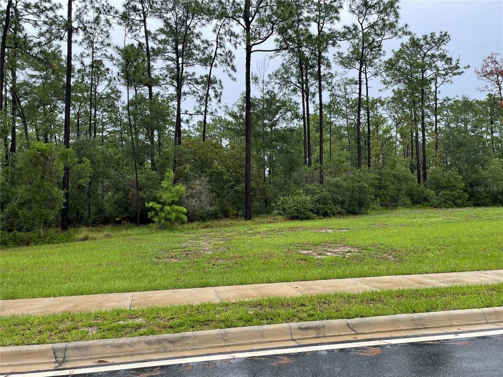 Photo of Virginia (paper) Avenue, Deltona, FL 32738 (MLS # O6367495)