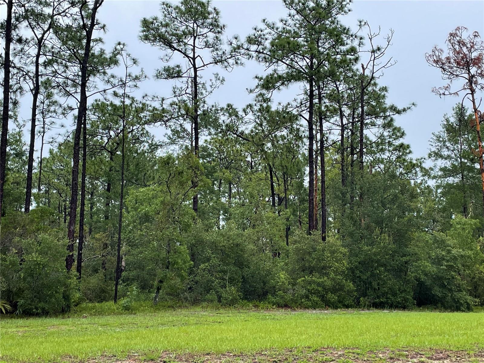 JARVIS ADD OSTEEN - Land