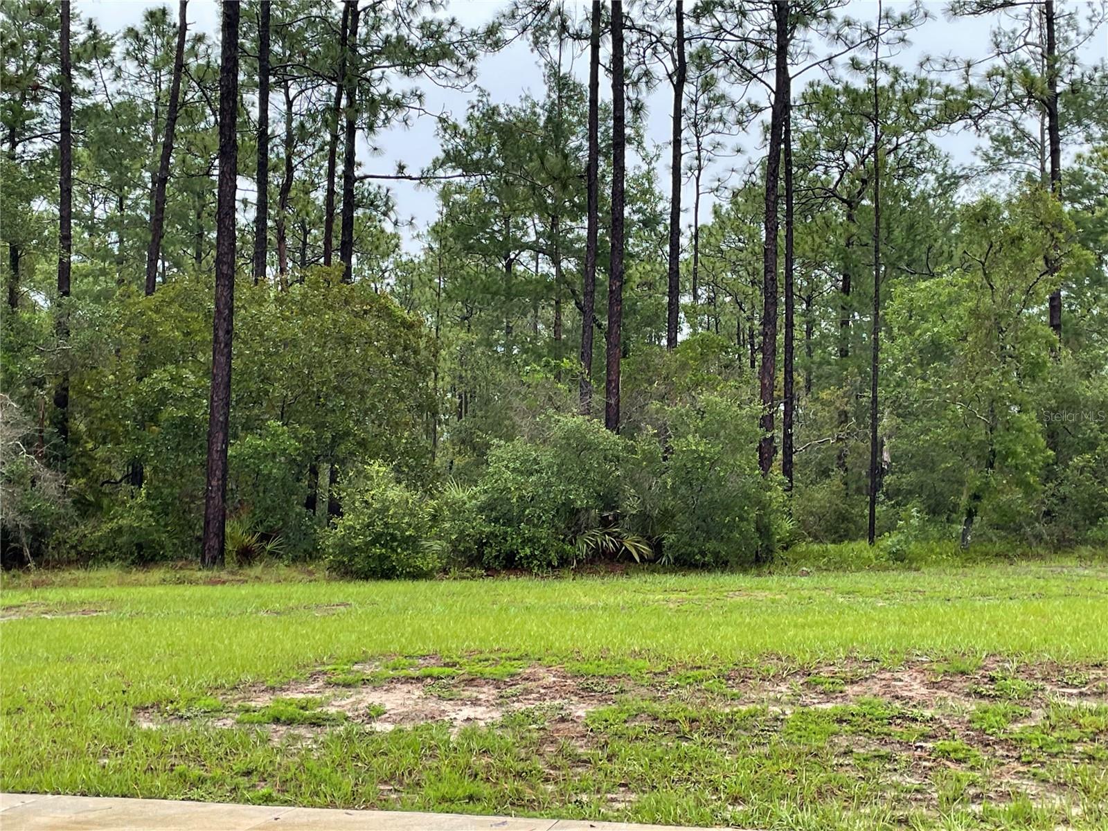 JARVIS ADD OSTEEN - Land